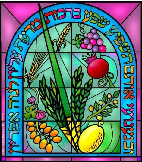 Harvest festival image