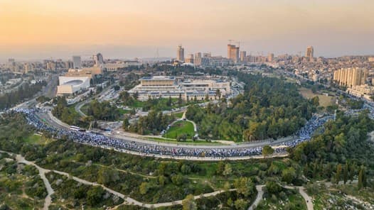 protest aerial view