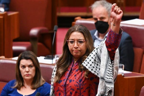 Senator Mehreen Faruqui (NCA Newswire)