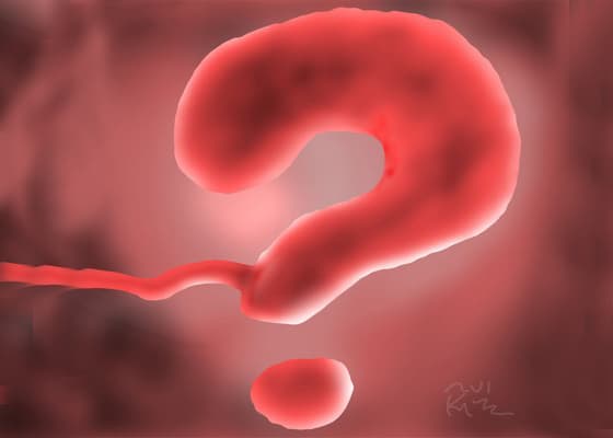 question mark that looks like a foetus