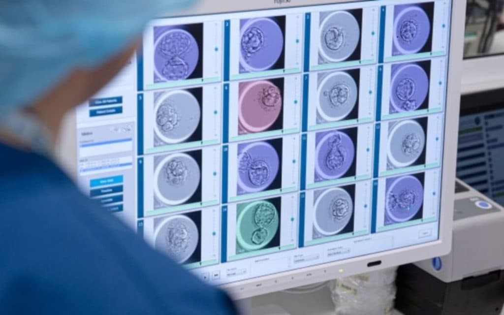 On average, IVF costs upwards of $15,000 to achieve a live birth in Australia (Image: IVF Australia/supplied).