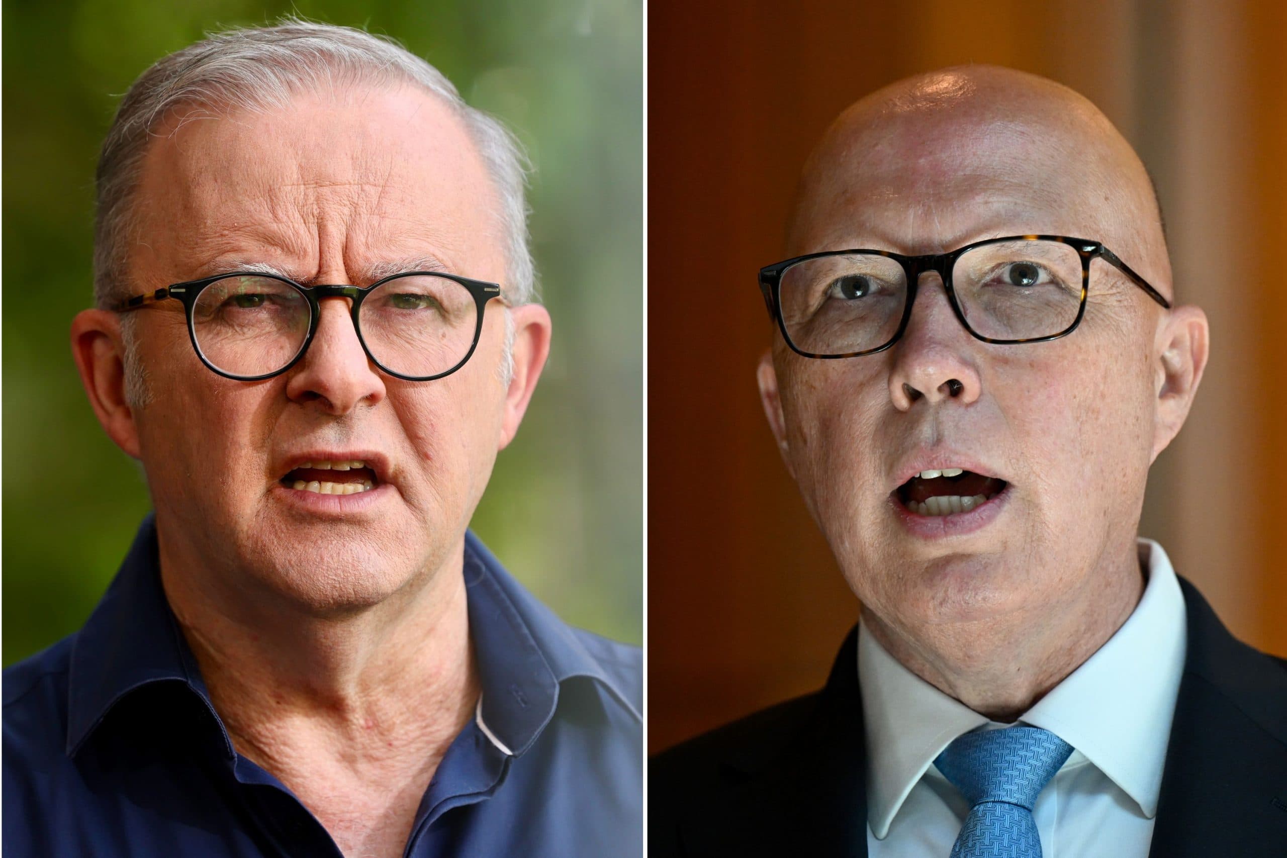 ANTHONY ALBANESE PETER DUTTON