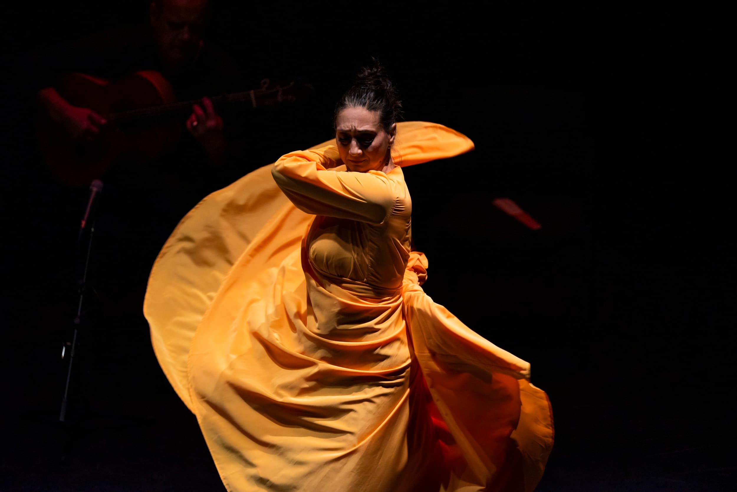 FlamencoForEverybody_hero©Martin+Ollman