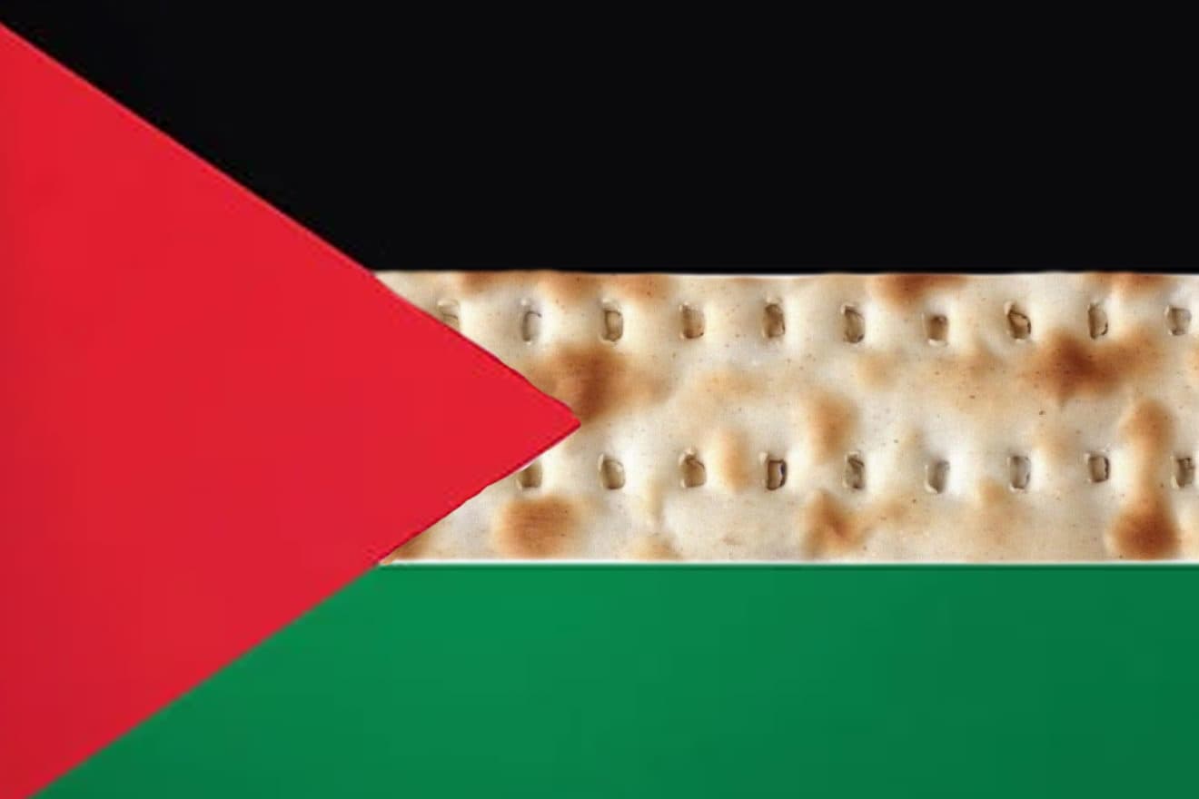 matzah palestine flag