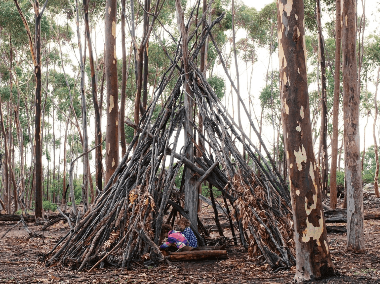 Two kids playing in the woods in a tee pee built of sticks