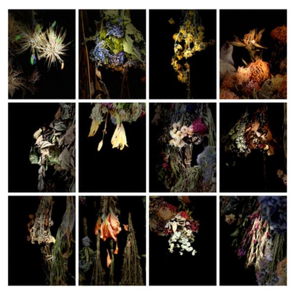 Ella Dreyfus, Nature Morte Zikaron, 2026. Complete artwork comprises 12 framed photographs
