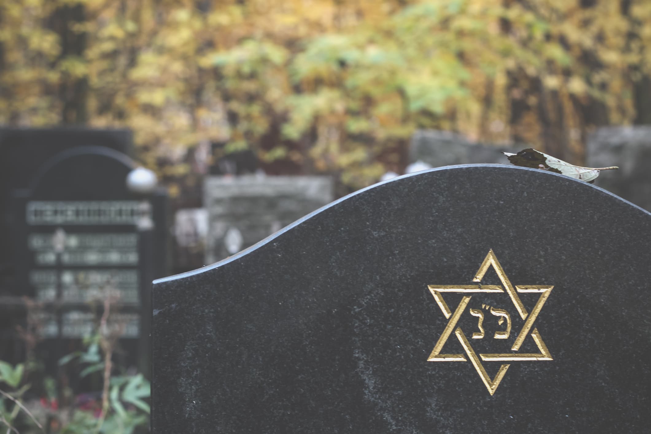 Jewish cemetery