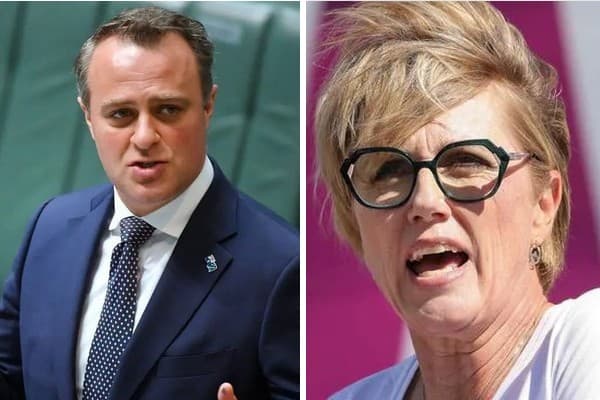 Goldstein rivals Tim Wilson and Zoe Daniel