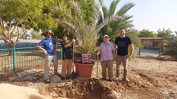 Planting at the Arava Institute 