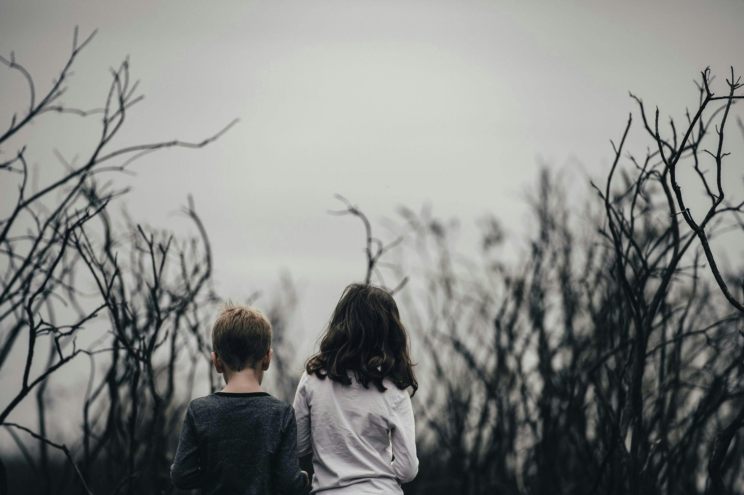 Two children in a dark forest