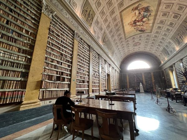 Palatina library (supplied)
