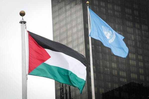 Two flags one black white and green with red triangle, one pale blue with UN insigna