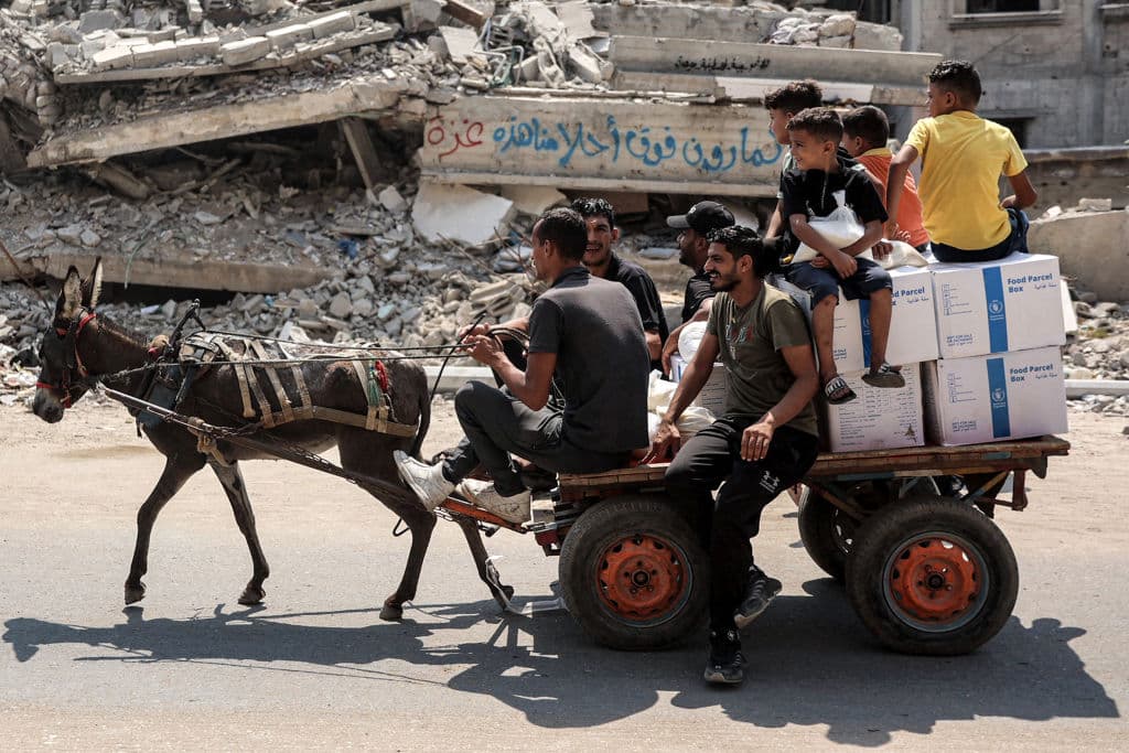 Men and boys boxes with UN logo in a donkey drawn cart