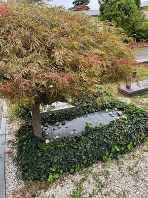 Primo Levi's grave