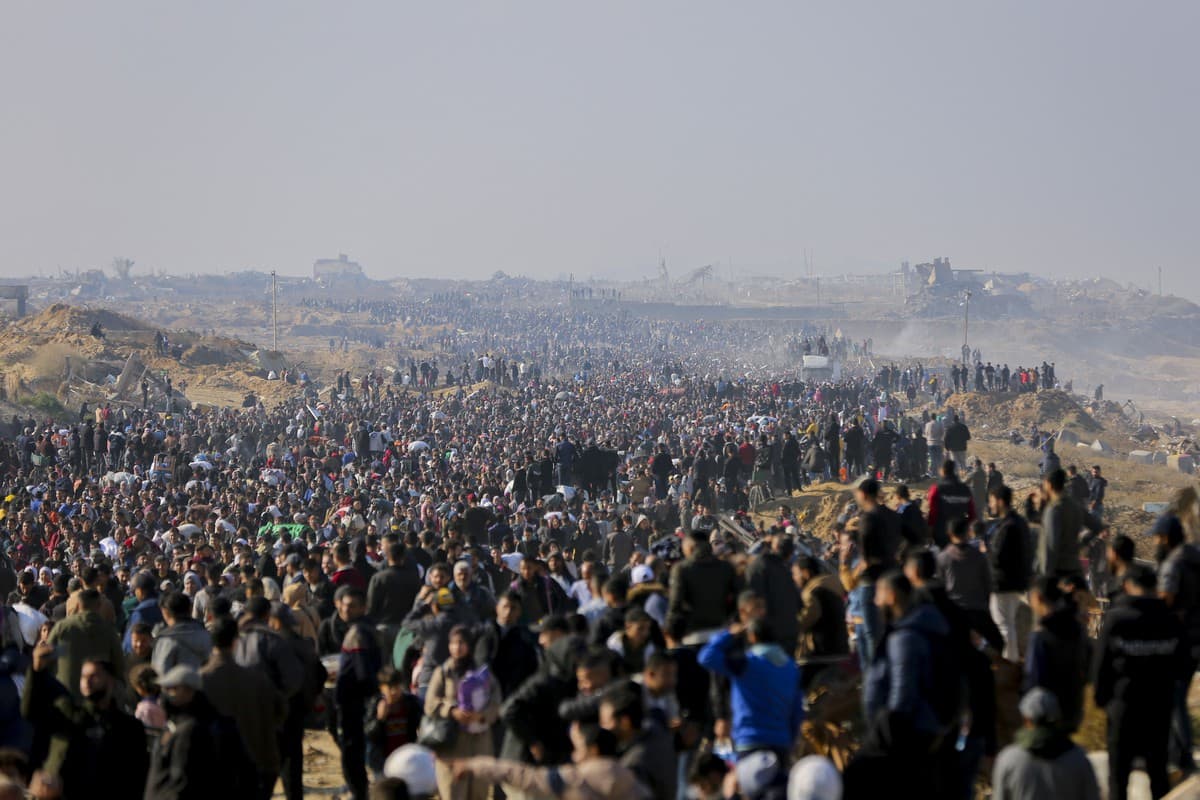 Displaced Palestinians Arrive In The Northern Gaza