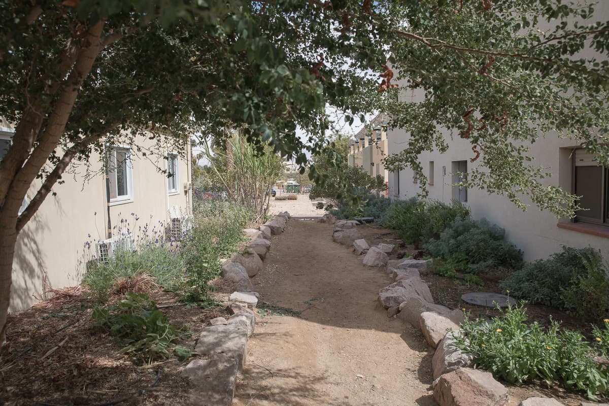 Along the small roads next to the housing units, various plantations can be found, in line with environmental conservation